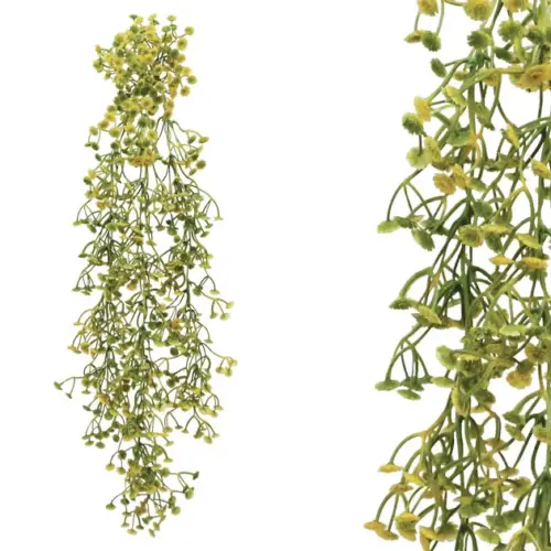 Ριζα κρεμαστη γυψοφυλλο κιτρινο 35x70/75cm 24/96κιβ