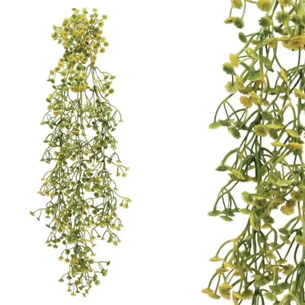Ριζα κρεμαστη γυψοφυλλο κιτρινο 35x70/75cm 24/96κιβ