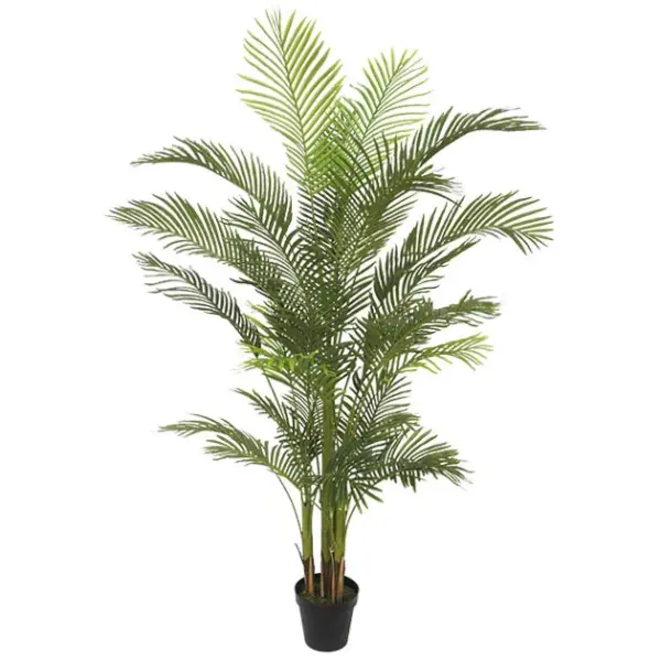 Δεντρο κεντια real touch σε γλαστρα υ210cm 2/κιβ