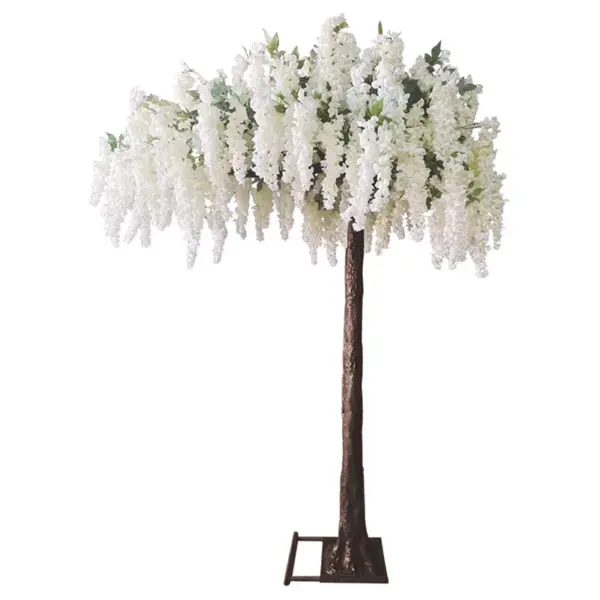Δεντρο σαμπανι ανθισμενη ακακια πλαγιο υ260cm 1/κιβ