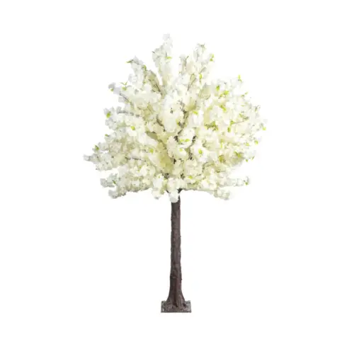 Δεντρο λευκο κερασια ανθισμενη 280cm 1/κιβ