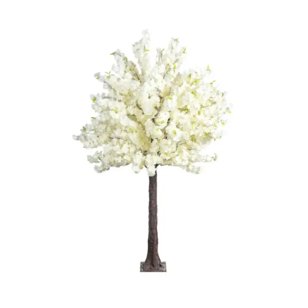 Δεντρο λευκο κερασια ανθισμενη 280cm 1/κιβ