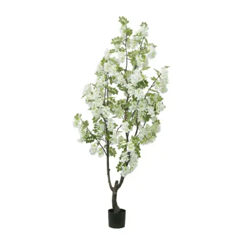 Δεντρο λευκο πασχαλια σε γλαστρα υ190cm 2/κιβ