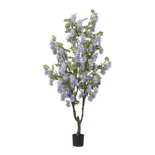 Δεντρο λιλα πασχαλια σε γλαστρα υ190cm 2/κιβ