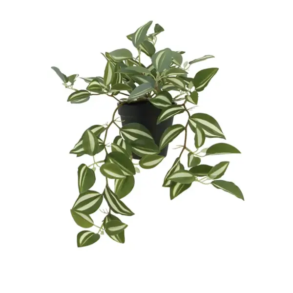 Φυτο τηλεγραφοσ ζεμπρινα διχρωμο real touch - υ42cm 1/12κιβ