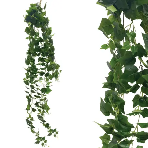 Ριζα κρεμαστη κισσοσ πρασινοσ - υ200cm 36/κιβ