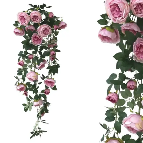 Ριζα κρεμαστη ροζ νεραγκουλεσ - υ100cm 24/120κιβ