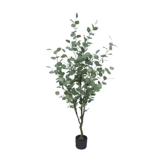 Δεντρο ευκαλυπτοσ πρασινο σε κασπω - υ150cm 1/4κιβ