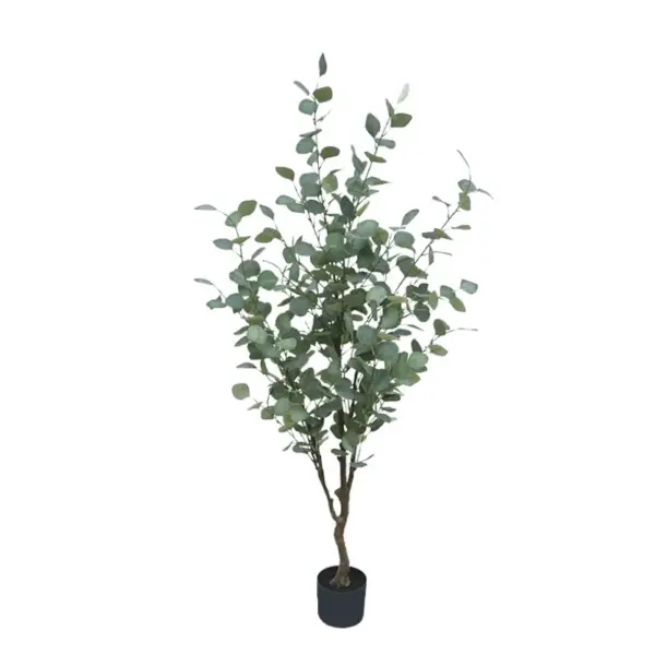 Δεντρο ευκαλυπτοσ πρασινο σε κασπω - υ150cm 1/4κιβ