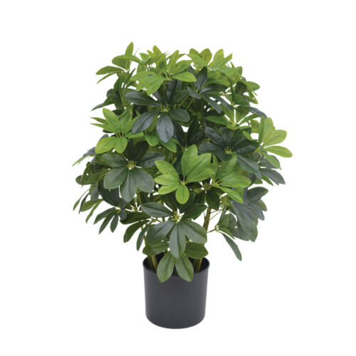Δεντρο σεφλιερα πρασινο real touch σε κασπω - υ70cm 1/2κιβ