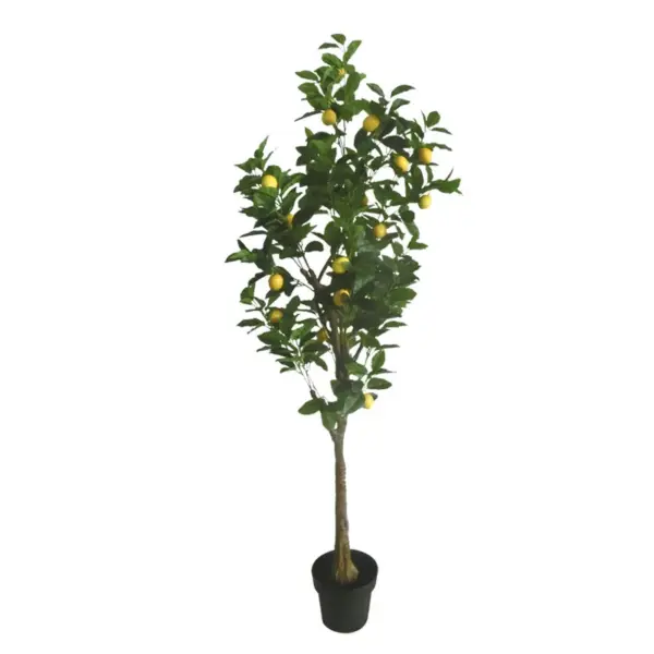 Δεντρο λεμονια real touch σε κασπω - υ180cm 1/2κιβ