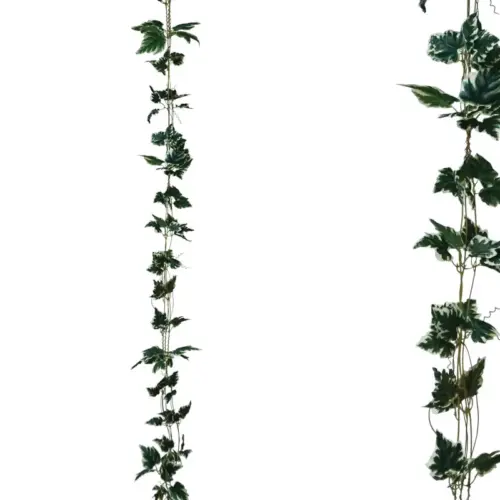Γιρλαντα διχρωμο πρασινο κισσοσ χ3 - υ270cm 1/132κιβ