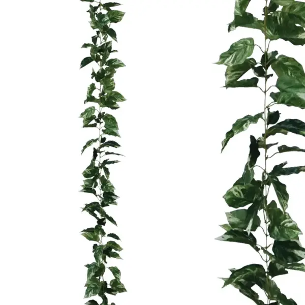 Γιρλαντα ποθοσ διχρωμο πρασινο - υ270cm 1/96κιβ