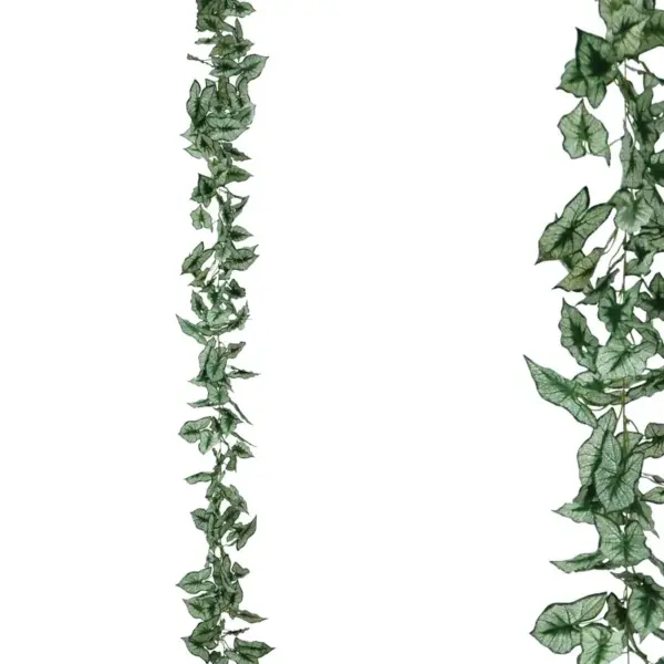 Γιρλαντα συγκονιο διχρωμο πρασινο - υ270cm 1/96κιβ