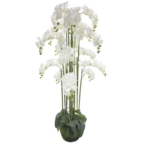 Φυτο ορχιδεα λευκο ανθη real touch - υ168cm 1/κιβ
