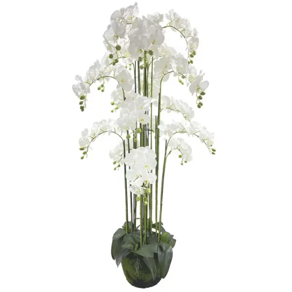Φυτο ορχιδεα λευκο ανθη real touch - υ168cm 1/κιβ