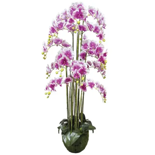 Φυτο ορχιδεα διχρωμο μωβ/λευκα ανθη real touch - υ168cm 1/κιβ