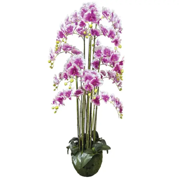 Φυτο ορχιδεα διχρωμο μωβ/λευκα ανθη real touch - υ168cm 1/κιβ