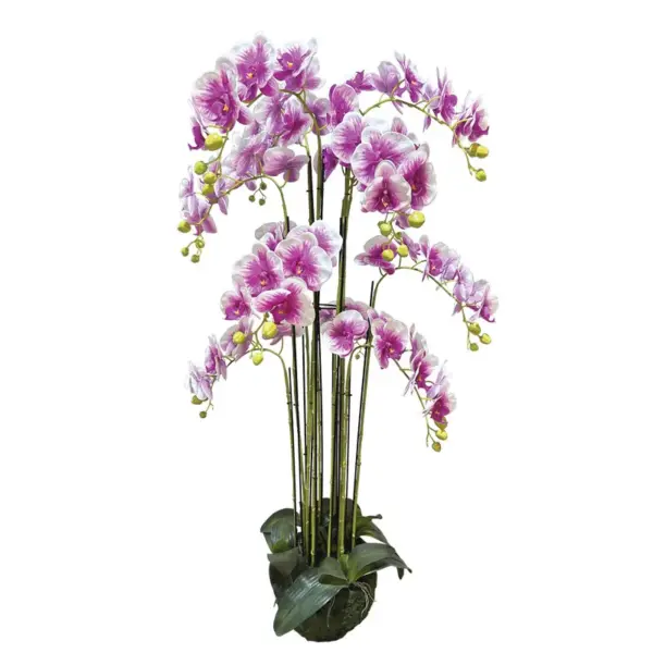 Φυτο ορχιδεα διχρωμο μωβ/λευκα ανθη real touch - υ135cm 1/κιβ