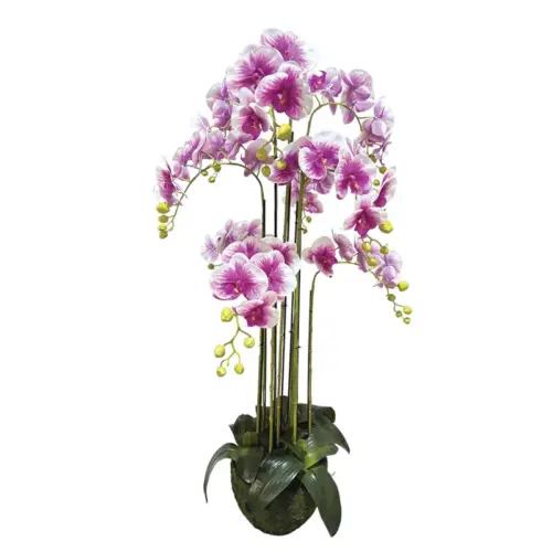 Φυτο ορχιδεα διχρωμη μωβ/λευκα ανθη real touch - υ118cm 1/κιβ