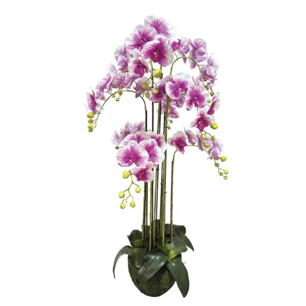 Φυτο ορχιδεα διχρωμη μωβ/λευκα ανθη real touch - υ118cm 1/κιβ