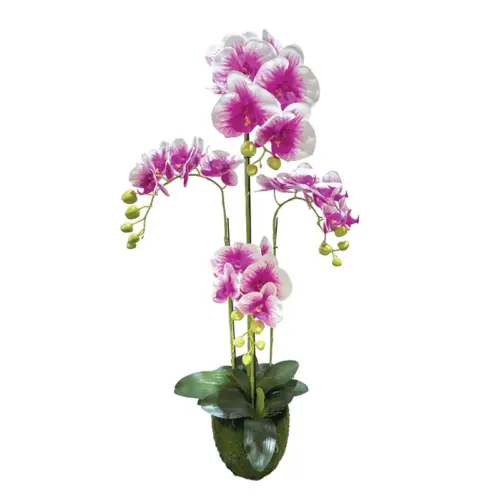 Φυτο ορχιδεα διχρωμη μωβ/λευκα ανθη real touch - υ98cm 2/κιβ