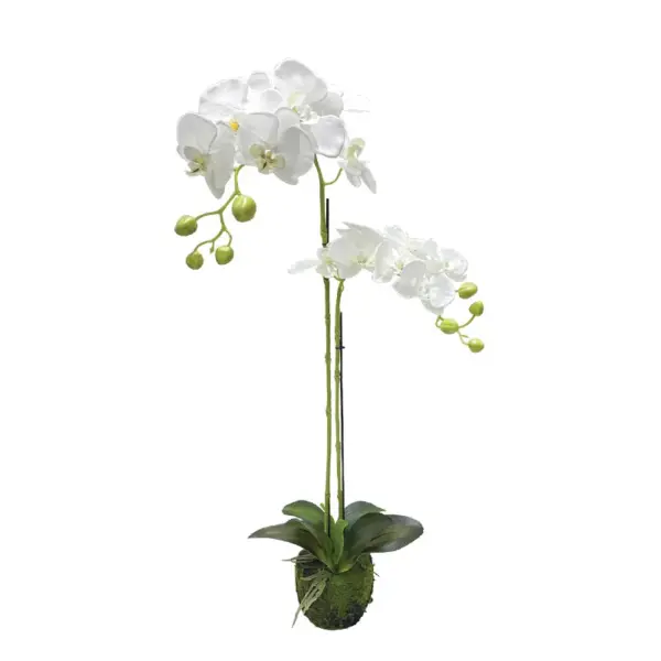 Φυτο ορχιδεα λευκα ανθη real touch - υ68cm 4/24κιβ
