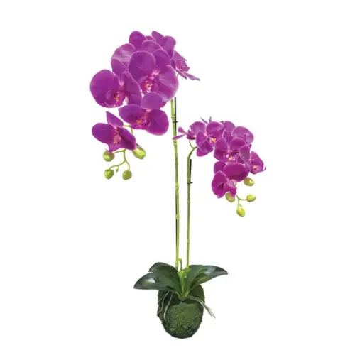 Φυτο ορχιδεα μωβ ανθη real touch - υ68cm 4/24κιβ