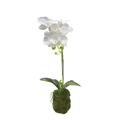 Φυτο ορχιδεα λευκα ανθη real touch - υ59cm 4/24κιβ