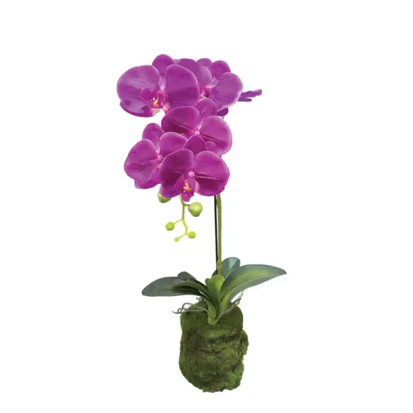 Φυτο ορχιδεα μωβ ανθη real touch - υ59cm 4/24κιβ