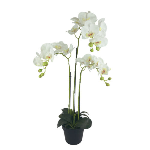 Φυτο ορχιδεα λευκα ανθη real touch σε κασπω - υ82cm 2/8κιβ