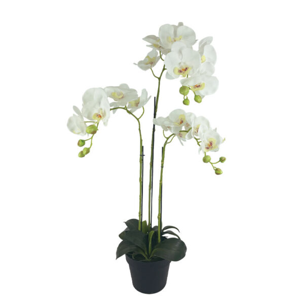Φυτο ορχιδεα λευκα ανθη real touch σε κασπω - υ82cm 2/8κιβ